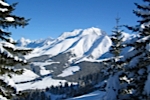 Geneva to Mont Blanc Transfers