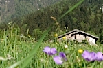 Les Houches walking in the summer
