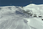 Les_Contas_coches