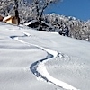 Morzine Transfers
