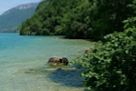 talloires shuttle buses